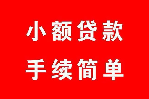 成都2个人贷款小额贷款-成都2贷款无抵押-成都2小额贷款当天放款-第1张图片-成都私人借钱服务中心